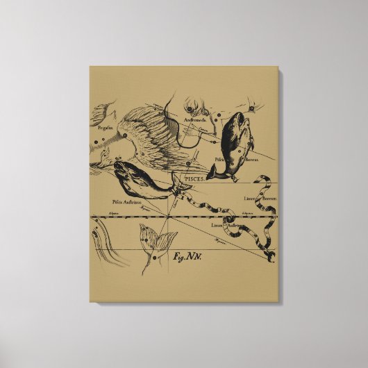 Konstellation von Pisces Hevelius um 1690 Leinwanddruck (Vorderseite)