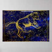 Konstellation von Ursa Major Poster (Vorne)