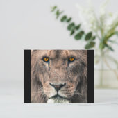 Kontakt mit dem Kopf der großen Afrikanischen Lung Postkarte (Stehend Vorderseite)