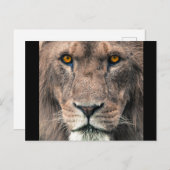 Kontakt mit dem Kopf der großen Afrikanischen Lung Postkarte (Vorne/Hinten)