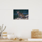 Kontakt mit gedecktem Leoparden Poster (Küche)