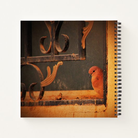 Kontemplation Notizblock (Rückseite)