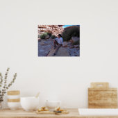 Kontemplation Poster (Küche)