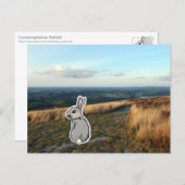 Kontemplativer Hase (Farbe) Postkarte (Vorne/Hinten)