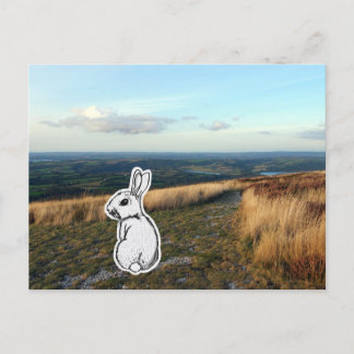 Kontemplativer Hase Postkarte