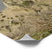 Kontinent Poster (Ecke)