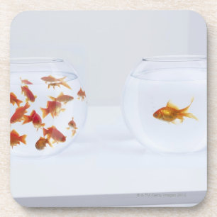 Kontrast von vielen Goldfisch im fishbowl und Untersetzer