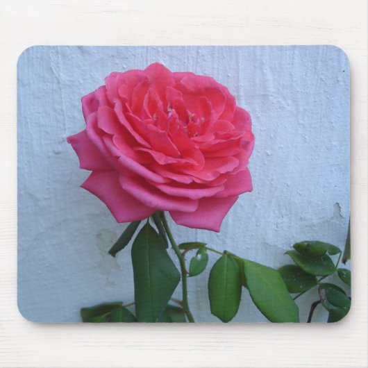 Kontraste Mousepad (Vorne)