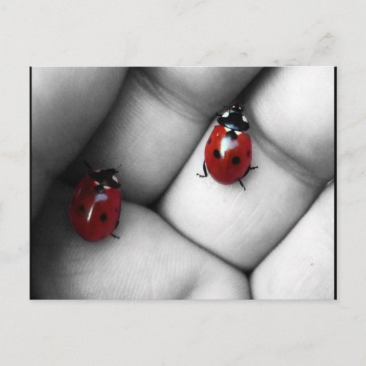 Kontrastlebens Postkarte (Vorderseite)