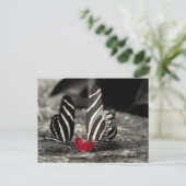 Kontrastzylinder Postkarte (Stehend Vorderseite)