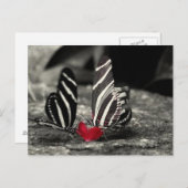 Kontrastzylinder Postkarte (Vorne/Hinten)