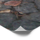 Kontratraste Leaf-Poster Poster (Ecke)
