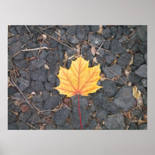 Kontratraste Leaf-Poster Poster (Vorne)