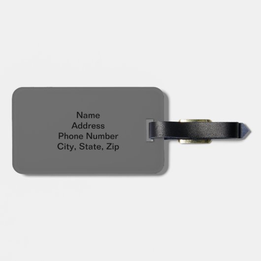 Kontrolle für die benutzerdefinierte Raumfähre Gepäckanhänger (Rückseite horizontal)