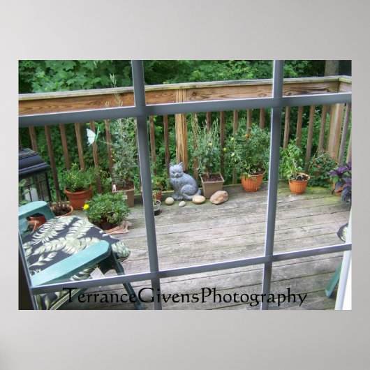 Kontrollkamera im Fenster Poster (Vorne)