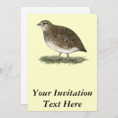 Konturnix Einladung (Vorne/Hinten)