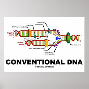 Konventionelle DNA Molekularbiologie-Spaß Poster