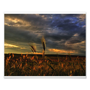 Konversation mit dem Wind Fotodruck