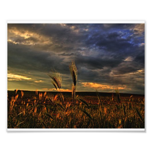 Konversation mit dem Wind Fotodruck (Vorne)