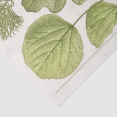 Konversations-Blätter (1894) Ephemera Decoupage Seidenpapier (Detail)