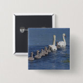 Konvoi der Schwäne Button (Vorne & Hinten)