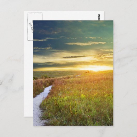Konza Prairie Path Postcard Postkarte (Vorne/Hinten)