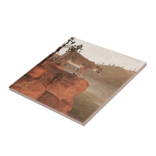 Konzentration - Cougar Fliese (Seite)