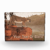 Konzentration - Cougar Fotoblock (Vorderseite)