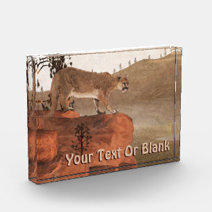 Konzentration - Cougar Fotoblock