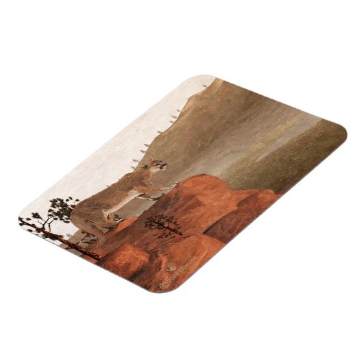 Konzentration - Cougar Magnet (Linke Seite)