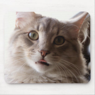 Konzentrationsgesicht Mousepad