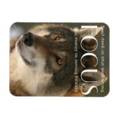 Konzentrationszitat zur Wolfsbild-Ermutigung Magnet (Horizontal)
