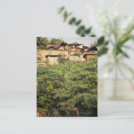 Konzentrieren Sie sich auf Vordergrundbäume. Dschu Postkarte (Stehend Vorderseite)