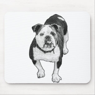 Konzentrierter Bulldogge, Punkt-Schreibtischakzent Mousepad