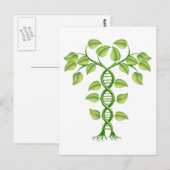 Konzept der DNA-Pflanze Postkarte (Vorne/Hinten)