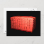 Konzept des ratifizierten Plattenepithels 1 Postkarte (Vorne/Hinten)