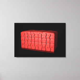 Konzept geschichteten schuppenartigen Epithels 2 Leinwanddruck