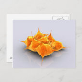 Konzeptbild einer Gruppe von Thrombozyten Postkarte (Vorne/Hinten)