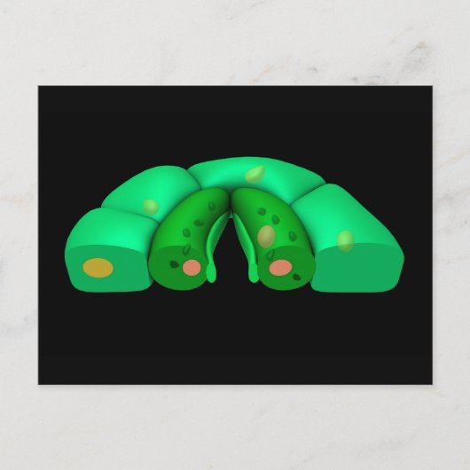 Konzeptbild von Stomata 2 Postkarte (Vorderseite)