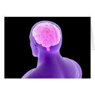 Konzeption des menschlichen Gehirns 9