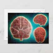 Konzeption des menschlichen Gehirns in einem ander Postkarte (Vorne/Hinten)