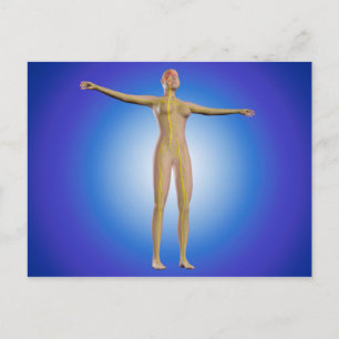 Konzeption des Nervensystems bei Frauen Postkarte
