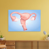 Konzeption des weiblichen Fortpflanzungsorgans 1 Leinwanddruck (Insitu (Wohnzimmer))