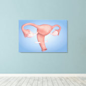 Konzeption des weiblichen Fortpflanzungsorgans 1 Leinwanddruck (Insitu (Holzboden))