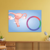 Konzeption des weiblichen Fortpflanzungsorgans 3 Leinwanddruck (Insitu (Wohnzimmer))