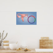 Konzeption des weiblichen Fortpflanzungsorgans 3 Poster (Küche)