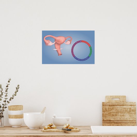 Konzeption des weiblichen Fortpflanzungsorgans 3 Poster (Küche)