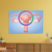 Konzeption des weiblichen Fortpflanzungsorgans 4 Leinwanddruck (Insitu (Wohnzimmer))