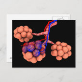 Konzeptionelles Bild von Alveoli 3 Postkarte (Vorne/Hinten)