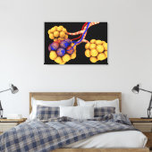 Konzeptionelles Bild von Alveoli 4 Leinwanddruck (Insitu (Schlafzimmer))